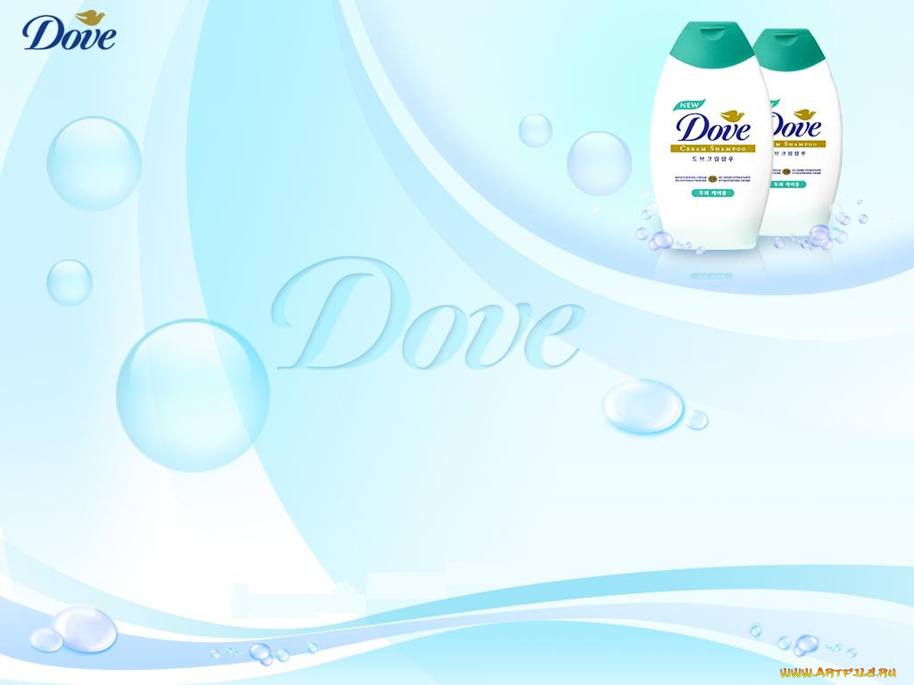 , dove